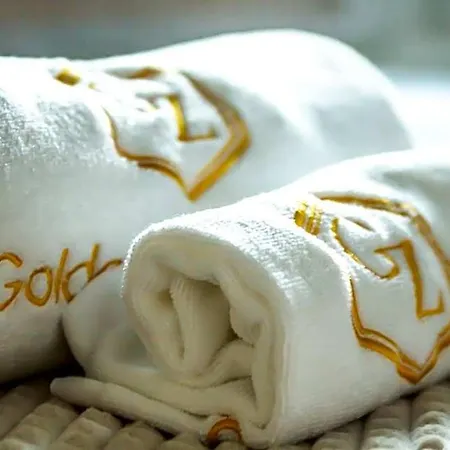 Hotel Golden Zaan Hotel, Zaandam-amsterdam 3*