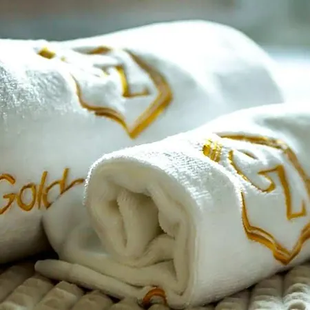 Golden Zaan Hotel, Zaandam-amsterdam Hotel 3*