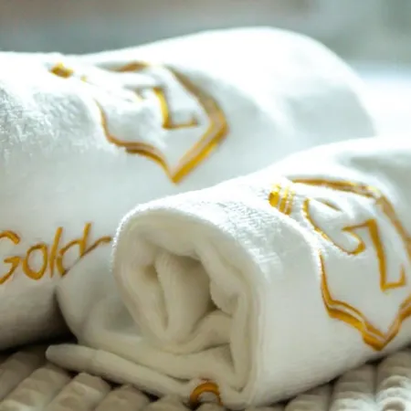 Golden Zaan Hotel, Zaandam-amsterdam מלון