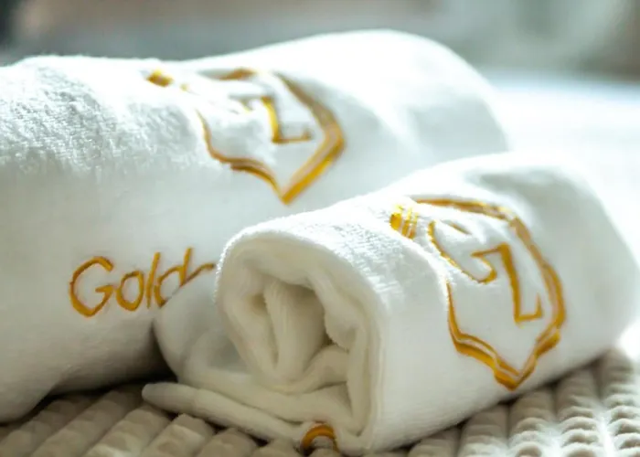 Golden Zaan Hotel, Zaandam-amsterdam מלון